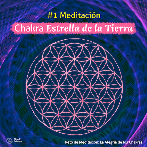 La Alegría de los Chakras_día 1
