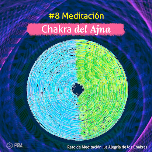 La Alegría de los Chakras_día 8