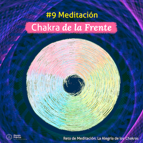 La Alegría de los Chakras_día 9