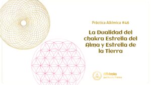 Práctica Alkímica #46: La Dualidad del Chakra Estrella del Alma y Estrella de la Tierra