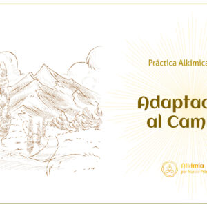 PA49# Adaptación al Cambio