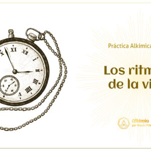 PA53# Los ritmos de la vida